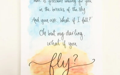 … What if you Fly?